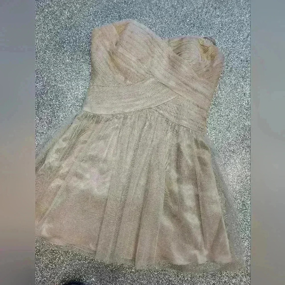 LAURA PETITES  CHAMPAGNE GLITTER MININ DRESS SIZE 10 - Picture 3 of 9